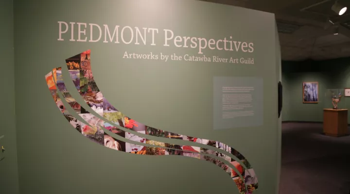 Piedmont Perspectives Art Exhibition