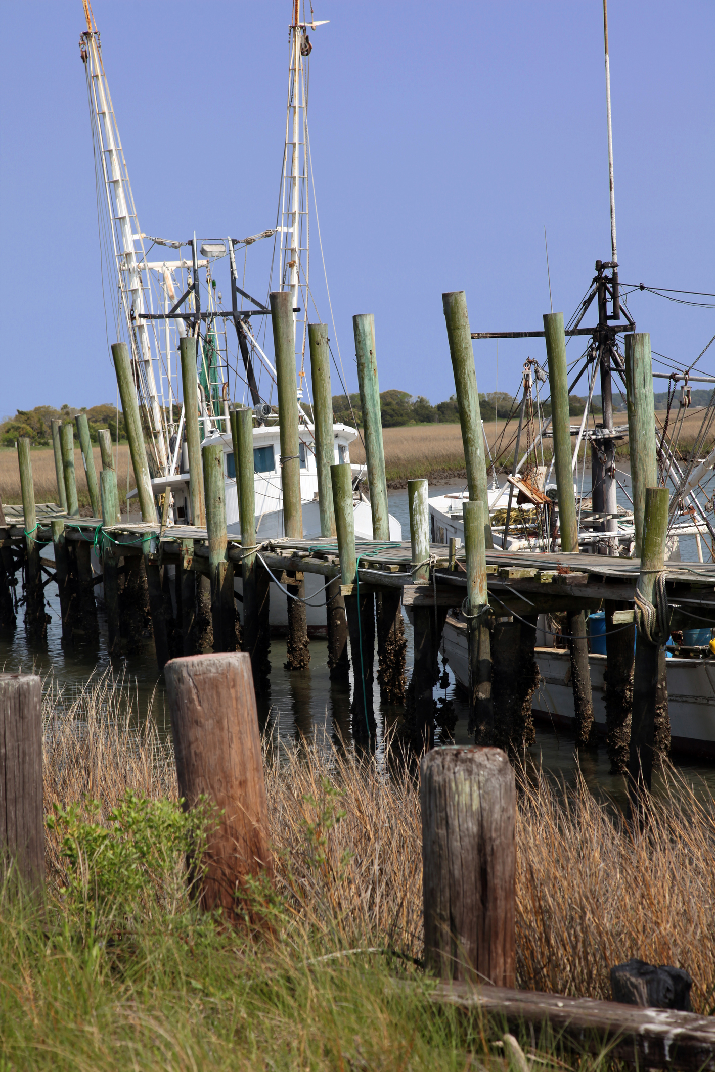 Local impacts of climate change in Beaufort, SC | Sea Change | Stories