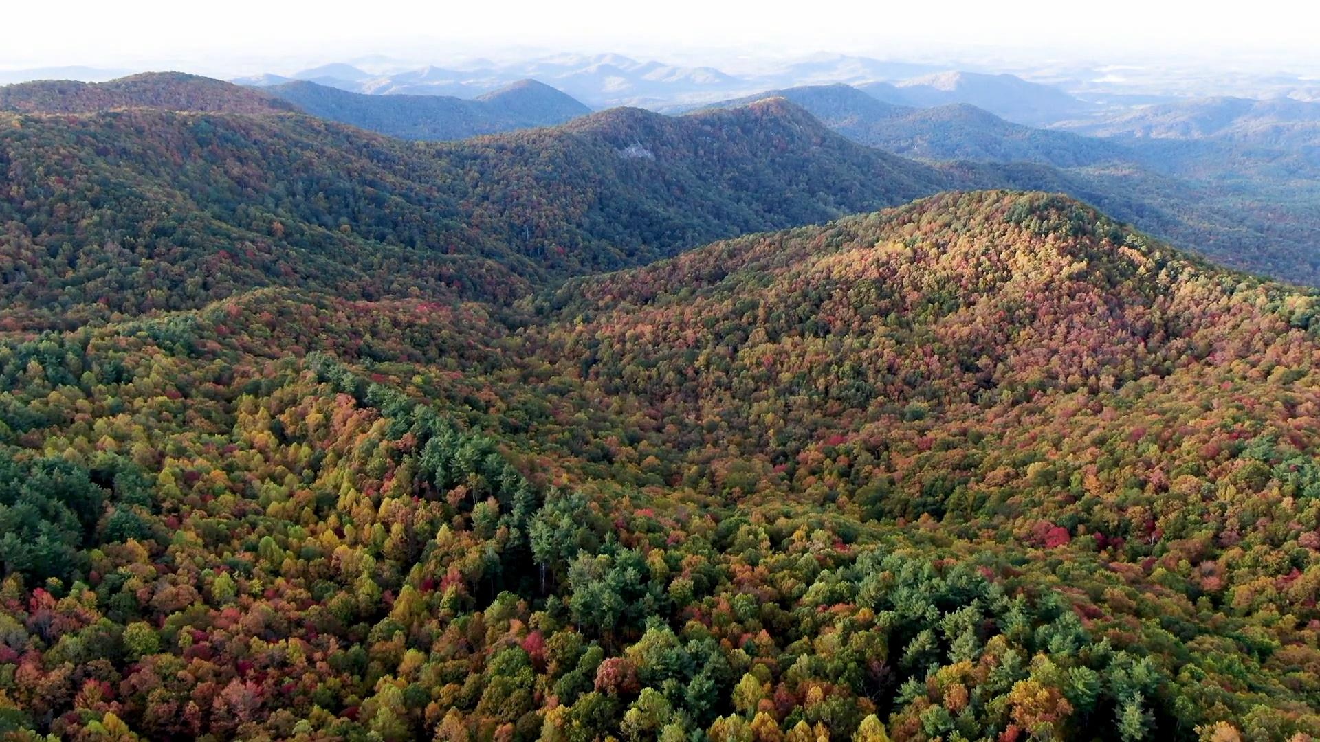 Sassafras Mountains