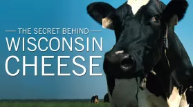The Secret Behind Wisconsin Cheese: asset-mezzanine-16x9