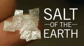 Salt of the Earth: asset-mezzanine-16x9