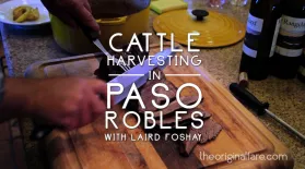 Cattle Harvest in Paso Robles: asset-mezzanine-16x9