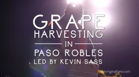 Grape Harvesting in Paso Robles: asset-mezzanine-16x9