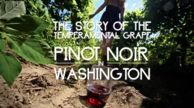Pinot Noir in Washington: asset-mezzanine-16x9