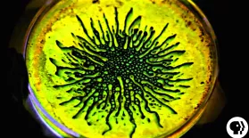 AMAZING! Ferrofluid and Glow Sticks: asset-mezzanine-16x9