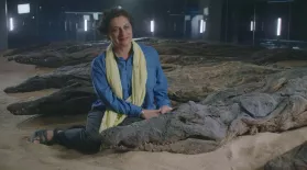 Sacred Crocodile Mummies Reveal the Climate of Ancient Egypt: asset-mezzanine-16x9