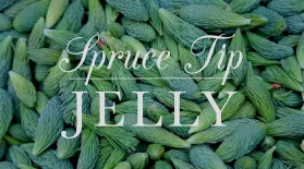Spruce Tip Jelly: asset-mezzanine-16x9