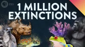 1 MILLION Species Could Go Extinct… Here’s Why.: asset-mezzanine-16x9