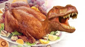 The Dinosaur On Your Thanksgiving Table: asset-mezzanine-16x9