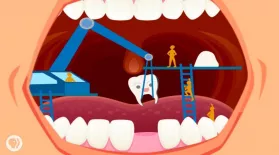 Where Do Teeth Come From?: asset-mezzanine-16x9