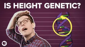 Is Height All in Our Genes?: asset-mezzanine-16x9