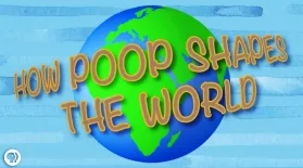 How Poop Shapes the World: asset-mezzanine-16x9