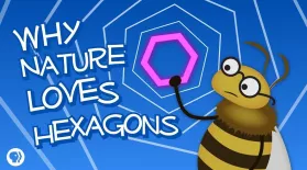 Why Nature Loves Hexagons (featuring Infinite Series!): asset-mezzanine-16x9