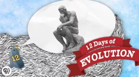 Does Evolution Have a Point? 12 Days of Evolution #12: asset-mezzanine-16x9