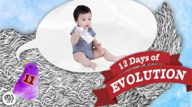 Are Humans Still Evolving? 12 Days of Evolution #11: asset-mezzanine-16x9
