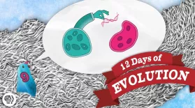 Can Evolution Create Information? - 12 Days of Evolution #9: asset-mezzanine-16x9
