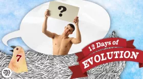 Why Do Men Have Nipples? - 12 Days of Evolution #7: asset-mezzanine-16x9