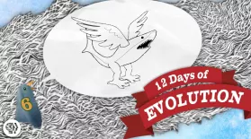 Evolution Is Dumb - 12 Days of Evolution #6: asset-mezzanine-16x9