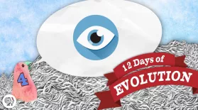 Can Evolution Make an Eye? - 12 Days of Evolution #4: asset-mezzanine-16x9