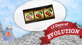 Is Evolution Random? - 12 Days of Evolution #2: asset-mezzanine-16x9