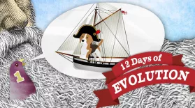 What Is Evolution, Anyway? - 12 Days of Evolution #1: asset-mezzanine-16x9