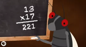 Why Are Cicadas So Good At Math?: asset-mezzanine-16x9