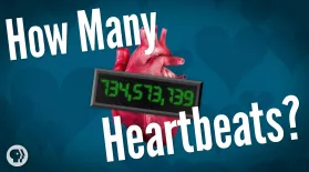 How Many Heartbeats Do We Get?: asset-mezzanine-16x9
