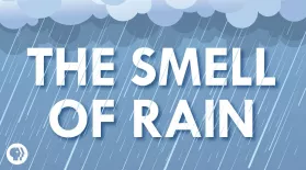 Where Does the Smell of Rain Come From?: asset-mezzanine-16x9