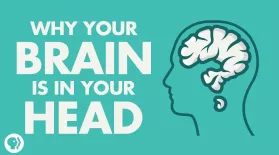 Why Your Brain Is In Your Head: asset-mezzanine-16x9