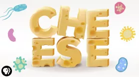 The Delicious Science of CHEESE!: asset-mezzanine-16x9