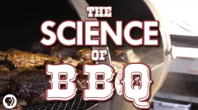 The Science of BBQ!!!: asset-mezzanine-16x9