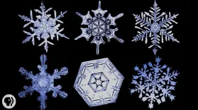 The Science of Snowflakes: asset-mezzanine-16x9
