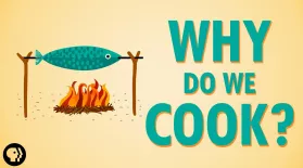 Why Do We Cook?: asset-mezzanine-16x9