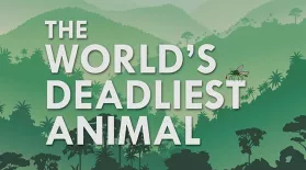 What’s the Deadliest Animal in the World?: asset-mezzanine-16x9