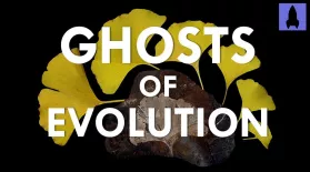Ghosts of Evolution: asset-mezzanine-16x9