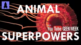 Amazing Animal Superpowers: asset-mezzanine-16x9