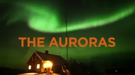 The Auroras: asset-mezzanine-16x9
