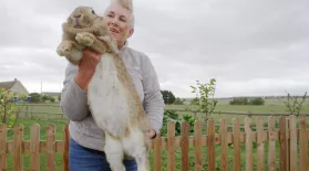Meet the World's Largest Rabbits: asset-mezzanine-16x9