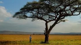 The Serengeti Rules: asset-mezzanine-16x9
