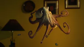 Octopus: Making Contact Preview: asset-mezzanine-16x9
