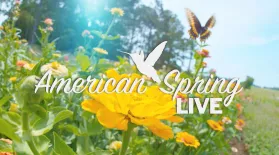 American Spring LIVE Trailer: asset-mezzanine-16x9
