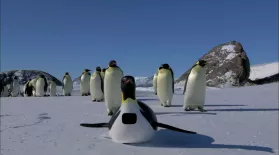 Penguins: Spy in the Huddle | Episode 1 | The Journey: asset-mezzanine-16x9
