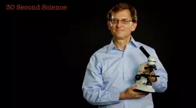 30 Second Science: Ian Lipkin: asset-mezzanine-16x9