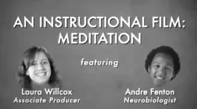 Andre Fenton: Instructional Film: Meditation: asset-mezzanine-16x9