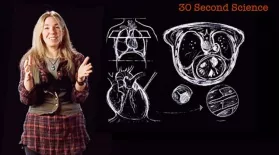 Caryn Babaian: 30 Second Science: asset-mezzanine-16x9