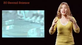 Mollie Woodworth: 30 Second Science: asset-mezzanine-16x9