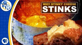 Why Does Stinky Cheese Stink?: asset-mezzanine-16x9