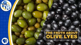 Why Can’t You Buy Fresh Olives?: asset-mezzanine-16x9
