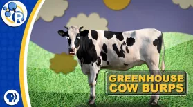 Cow Burps Are Warming the Planet: asset-mezzanine-16x9