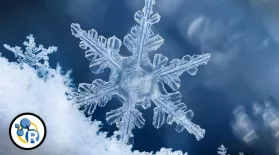 How Do Snowflakes Form?: asset-mezzanine-16x9